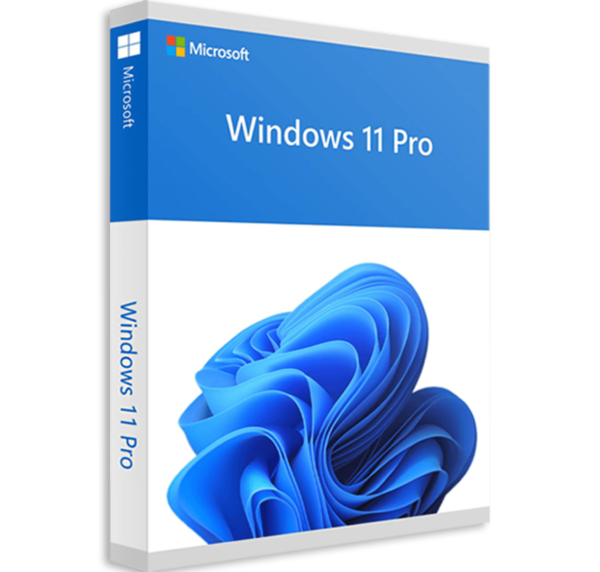 Licenta Windows 11 Professional